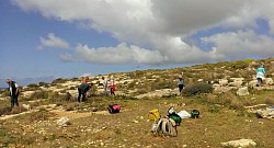 The Easter-egg hunters, pw no. 56, Easter Friday 2016
