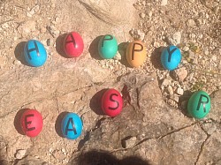 Two missing eggs but no missing fun